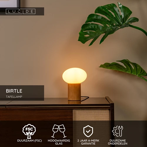 Lucide BIRTLE - Tafellamp - 1xE14 - Opaal - USP